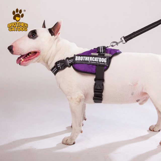 Dog Harness Set Custom Personalized / Dog Colar and Harnesses /Eco-friendly Dog Supplies / Supplies For Dogs