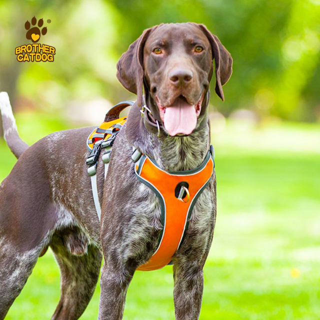 Eco-friendly dog supplies / Dog harness custom logo