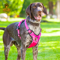 Custom dog harness /  Wholesale dog harness set / No Pull Dog Harness