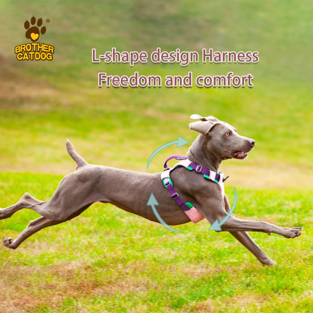 Personalized Dog Harness / Dog Outwear / Wholesale Pet Supplies