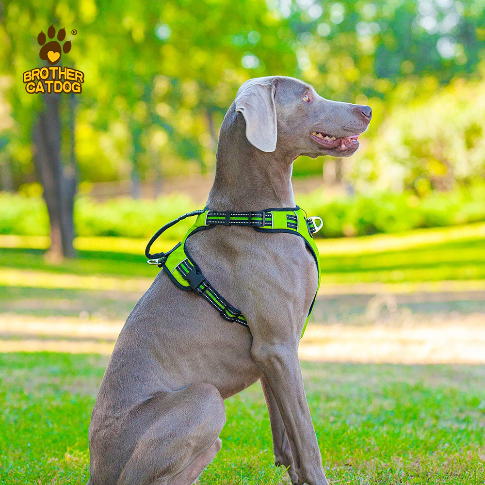 Dog accessories pet training supplies / Dog harness no pull / Wholesale dog harnesses
