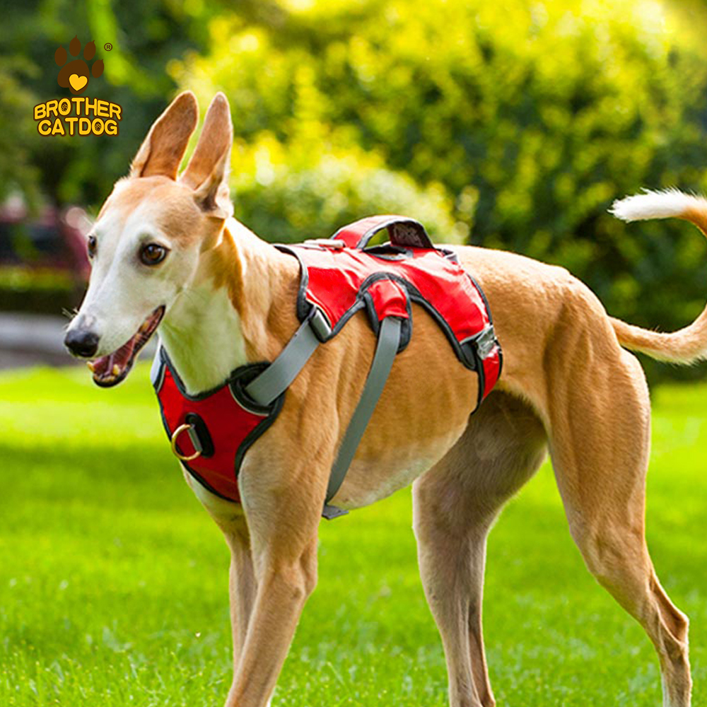 Waterproof Dog Harness / Dog Harness For Large dogs