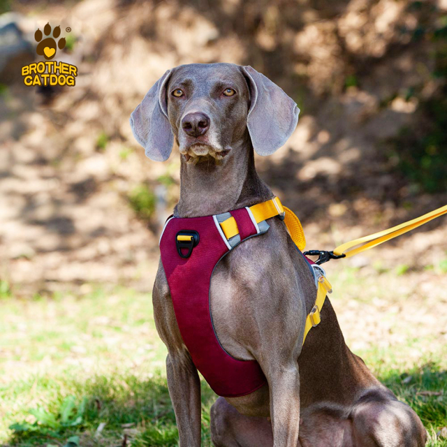 Personalized Dog Harness / Dog Outwear / Wholesale Pet Supplies