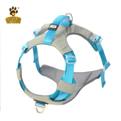 Dog Harness Custom Logo / Collars  & Leashes For Dogs