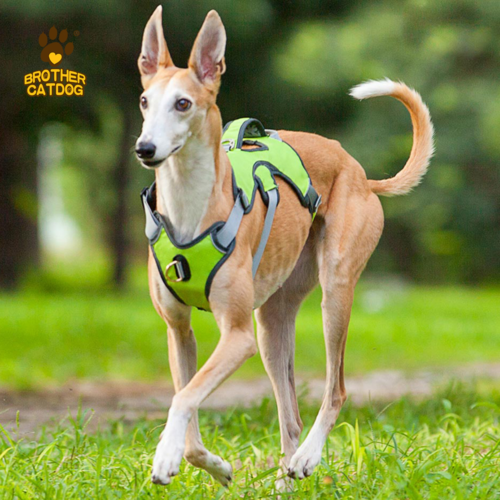 Waterproof Dog Harness / Dog Harness For Large dogs