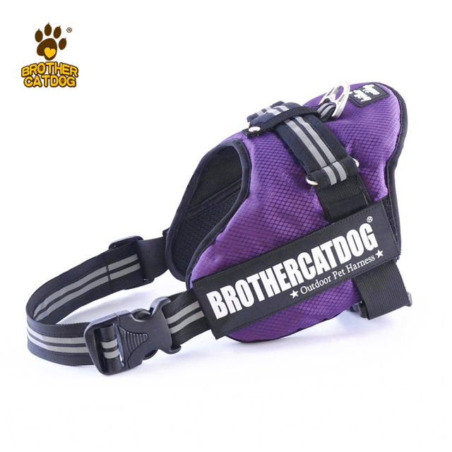 Dog Harness Set Custom Personalized / Dog Colar and Harnesses /Eco-friendly Dog Supplies / Supplies For Dogs
