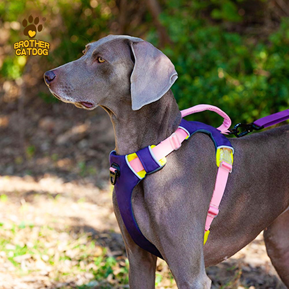 Personalized Dog Harness / Dog Outwear / Wholesale Pet Supplies