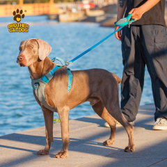 Dog Harness Custom Logo / Collars  & Leashes For Dogs