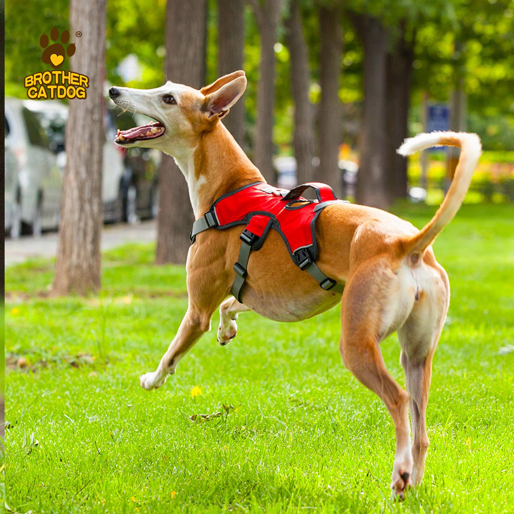 Waterproof Dog Harness / Dog Harness For Large dogs