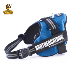 Dog Harness Set Custom Personalized / Dog Colar and Harnesses /Eco-friendly Dog Supplies / Supplies For Dogs