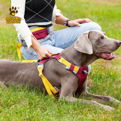 Personalized Dog Harness / Dog Outwear / Wholesale Pet Supplies