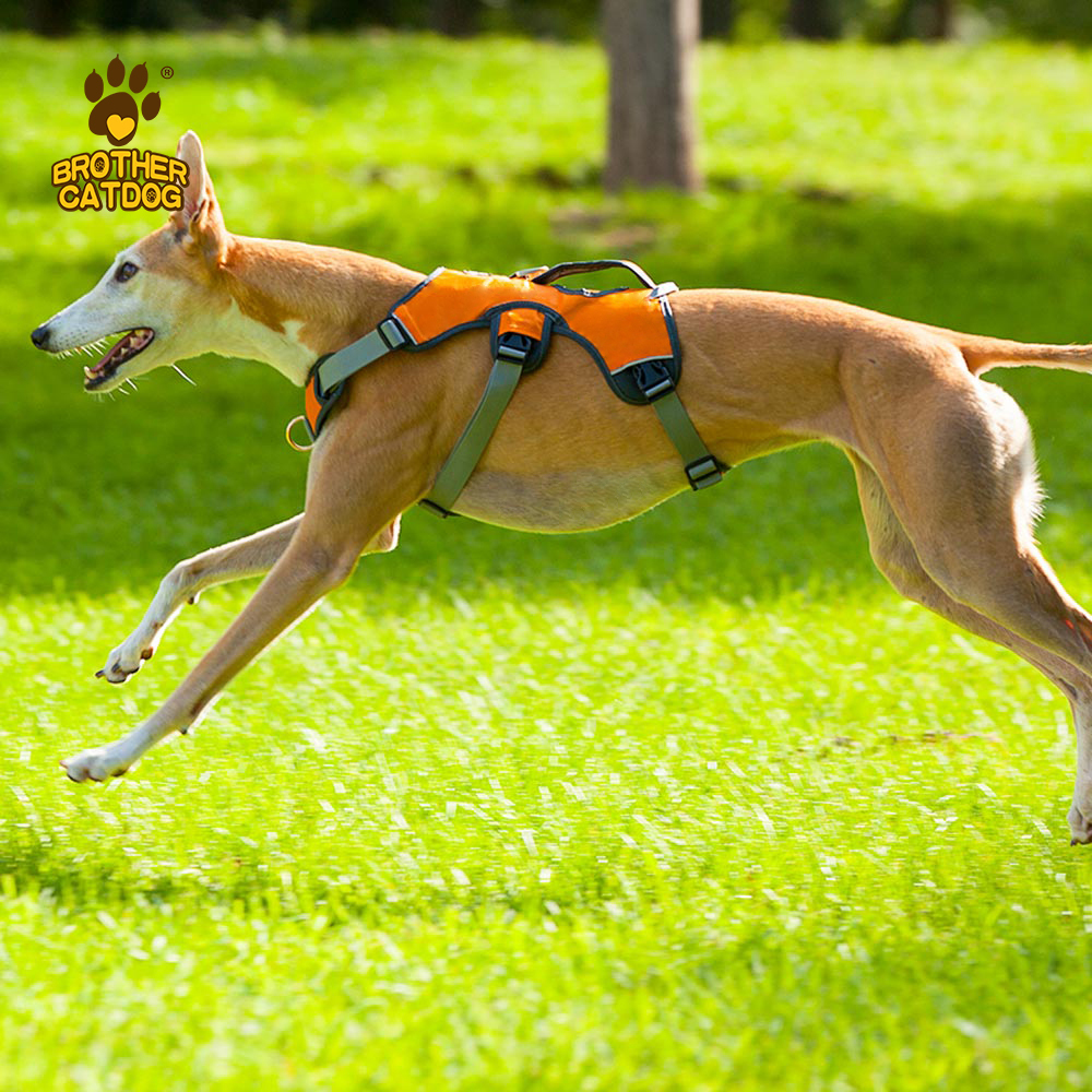 Waterproof Dog Harness / Dog Harness For Large dogs
