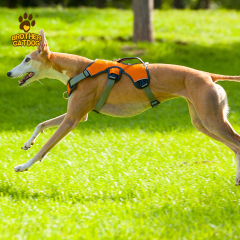 Waterproof Dog Harness / Dog Harness For Large dogs