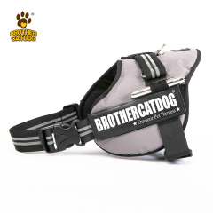 Dog Harness Set Custom Personalized / Dog Colar and Harnesses /Eco-friendly Dog Supplies / Supplies For Dogs