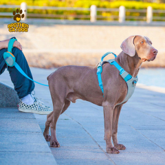 Dog Harness Custom Logo / Collars  & Leashes For Dogs