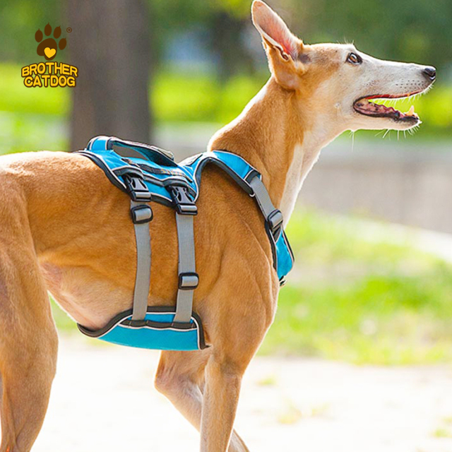 Eco-friendly dog supplies / Dog harness custom logo