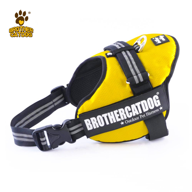Dog Harness Set Custom Personalized / Dog Colar and Harnesses /Eco-friendly Dog Supplies / Supplies For Dogs