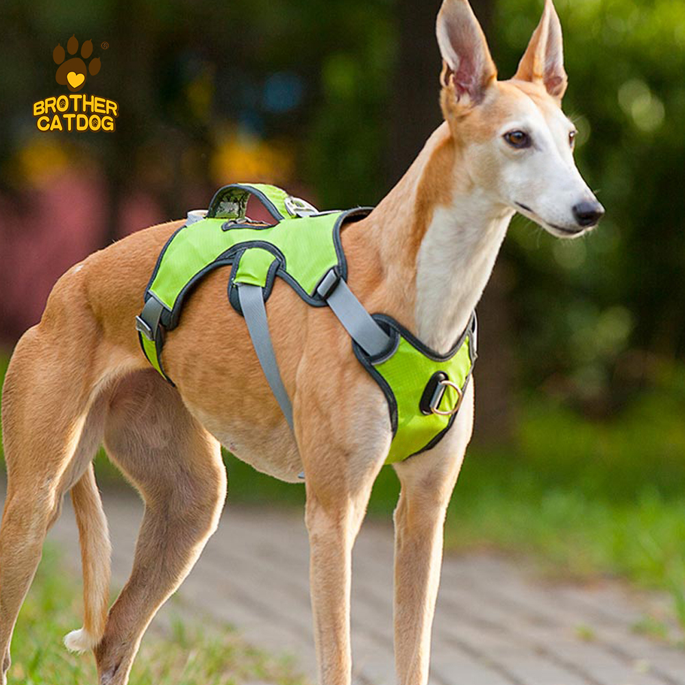 Waterproof Dog Harness / Dog Harness For Large dogs