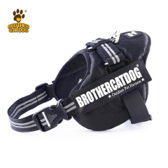 Dog Harness Set Custom Personalized / Dog Colar and Harnesses /Eco-friendly Dog Supplies / Supplies For Dogs
