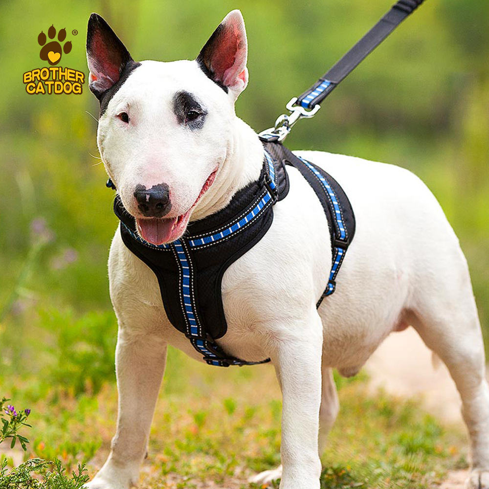 Manufacturing Dog Supplies / Wholesale Pet Supply /Global Horse & Dog Products Supply Chain / Made in Trianglewin
