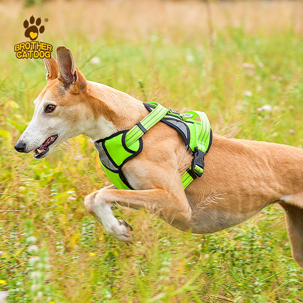 Dog Harness Wholesale / Professional Pet Apparel Factory