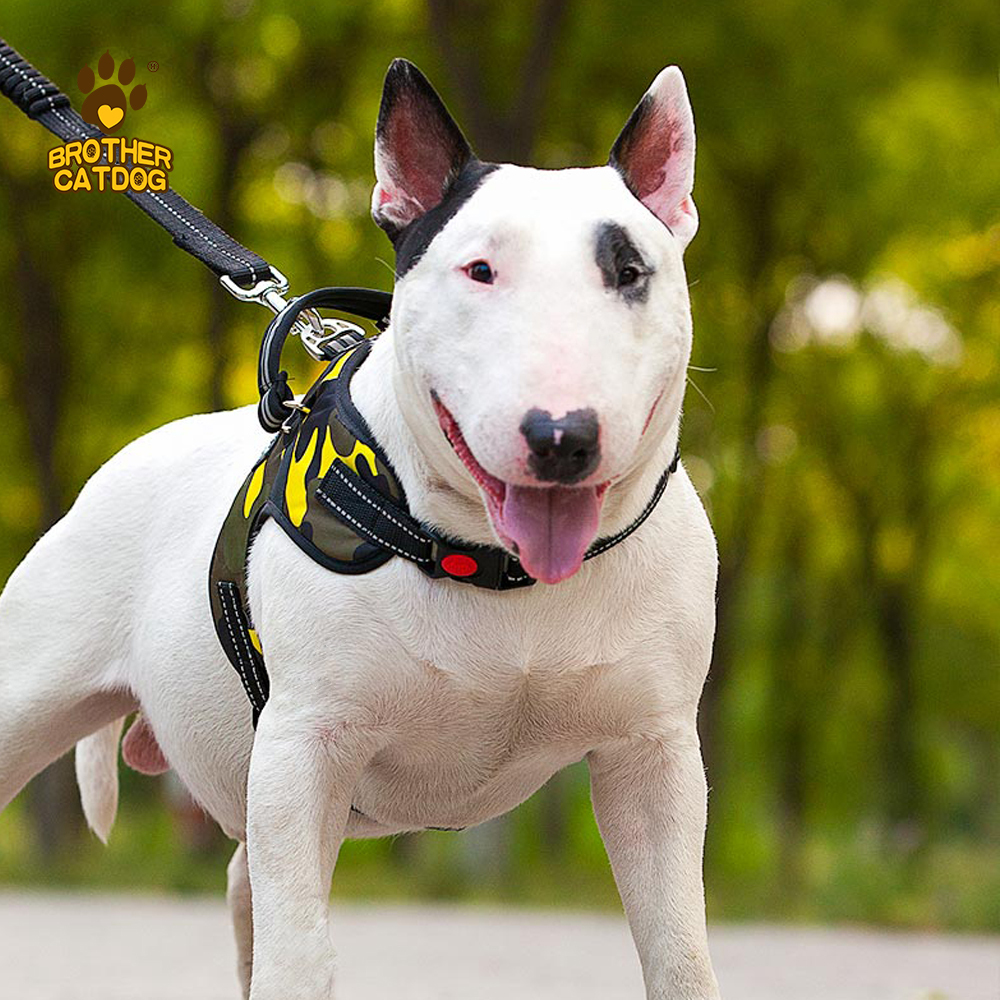 Manufacturer Wholesale Custom logo Breathable Dog Harness with Reflective Stripe / Made in Brother cat dog