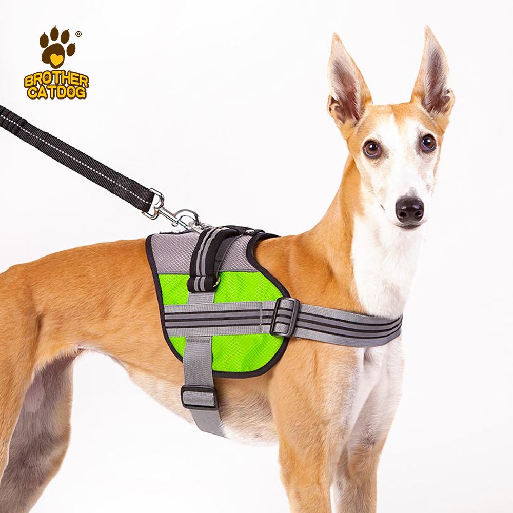 Dog Harness Custom Design / Dog accessories Pet training supplies / Manufacturer & Factory