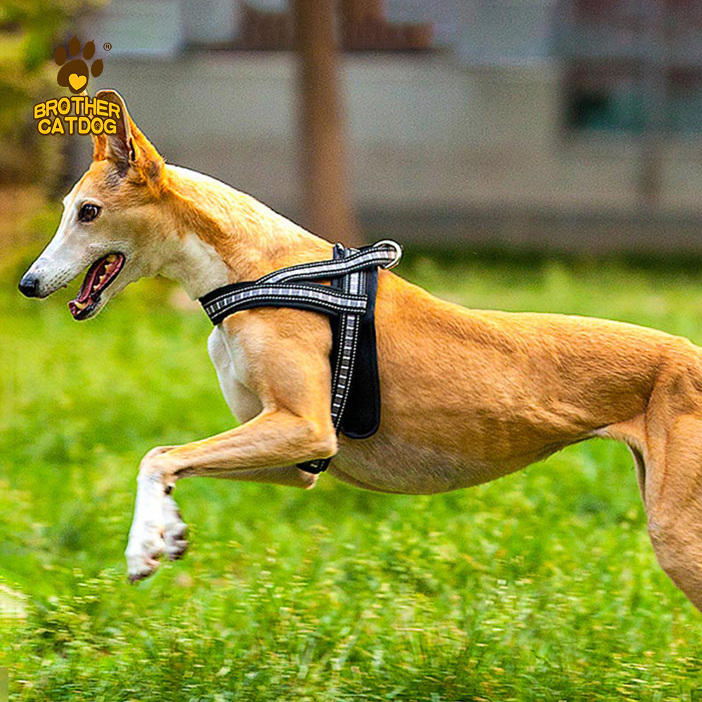 China Wholesales Dog Supplies / Dog & Puppy Harnesses / Manufacturing Pet Supplies / Custom Dog Products / Made in Trianglewin