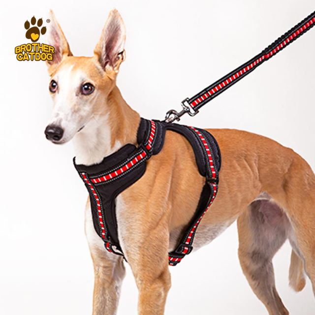 Manufacturing Dog Supplies / Wholesale Pet Supply /Global Horse & Dog Products Supply Chain / Made in Trianglewin
