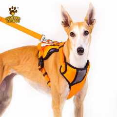 Dog Harness Wholesale / Professional Pet Apparel Factory