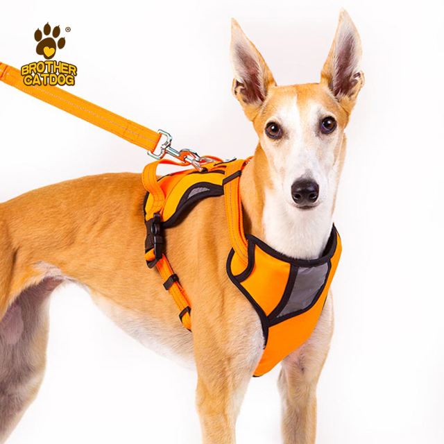 Dog Harness Wholesale / Professional Pet Apparel Factory