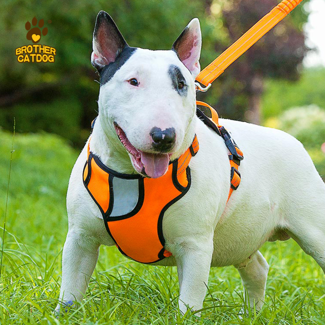 Dog Harness Wholesale / Professional Pet Apparel Factory