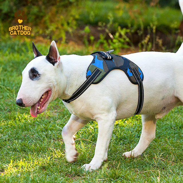 Manufacturer Wholesale Custom logo Breathable Dog Harness with Reflective Stripe / Made in Brother cat dog