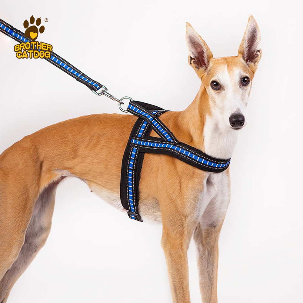 China Wholesales Dog Supplies / Dog & Puppy Harnesses / Manufacturing Pet Supplies / Custom Dog Products / Made in Trianglewin