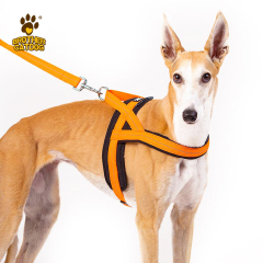 Dog Harness & Leashes & Collars / Quality Puppy and Dog Harnesses