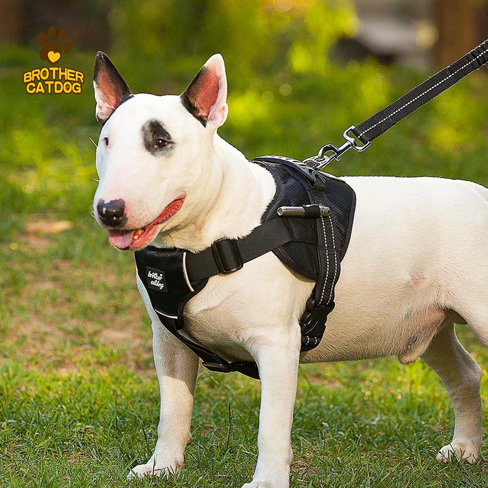 Dog products 2025 / Dog Harnesses & Leashes & Collars & Dog Clothes & Dog Supplier & Factory / Made in Trianglewin