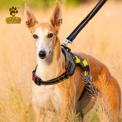 Manufacturer Wholesale Custom logo Breathable Dog Harness with Reflective Stripe / Made in Brother cat dog