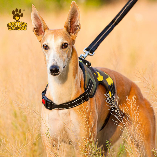 Manufacturer Wholesale Custom logo Breathable Dog Harness with Reflective Stripe / Made in Brother cat dog