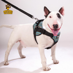Dog products 2025 / Dog Harnesses & Leashes & Collars & Dog Clothes & Dog Supplier & Factory / Made in Trianglewin