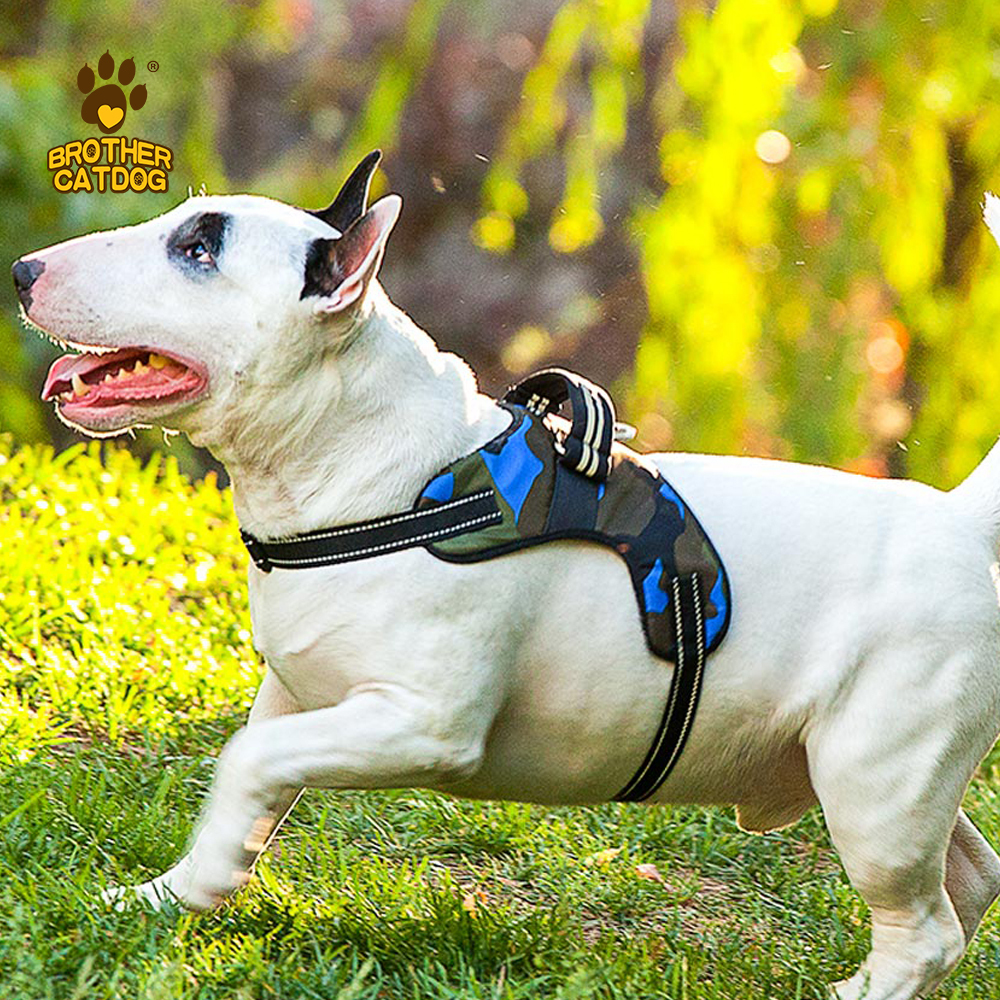 Manufacturer Wholesale Custom logo Breathable Dog Harness with Reflective Stripe / Made in Brother cat dog