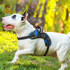 Manufacturer Wholesale Custom logo Breathable Dog Harness with Reflective Stripe / Made in Brother cat dog