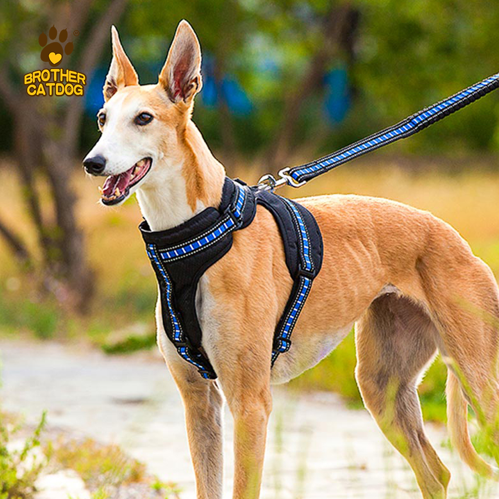 Manufacturing Dog Supplies / Wholesale Pet Supply /Global Horse & Dog Products Supply Chain / Made in Trianglewin