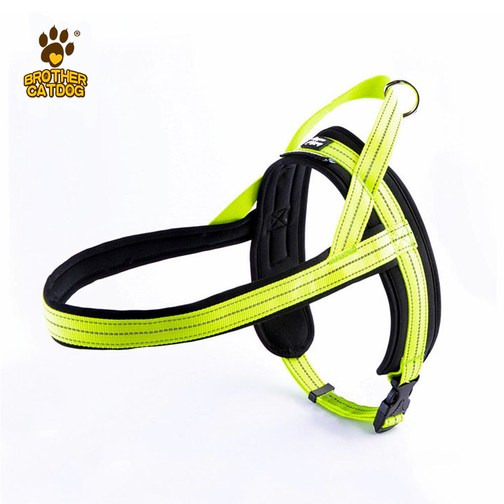 Dog Harness & Leashes & Collars / Quality Puppy and Dog Harnesses
