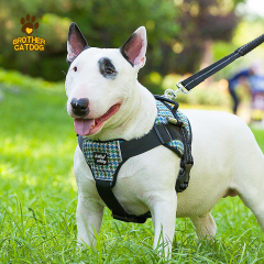 Dog products 2025 / Dog Harnesses & Leashes & Collars & Dog Clothes & Dog Supplier & Factory / Made in Trianglewin