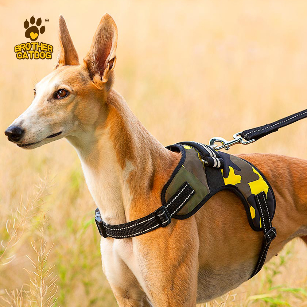 Manufacturer Wholesale Custom logo Breathable Dog Harness with Reflective Stripe / Made in Brother cat dog