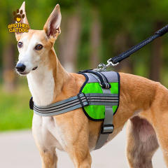 Dog Harness Custom Design / Dog accessories Pet training supplies / Manufacturer & Factory