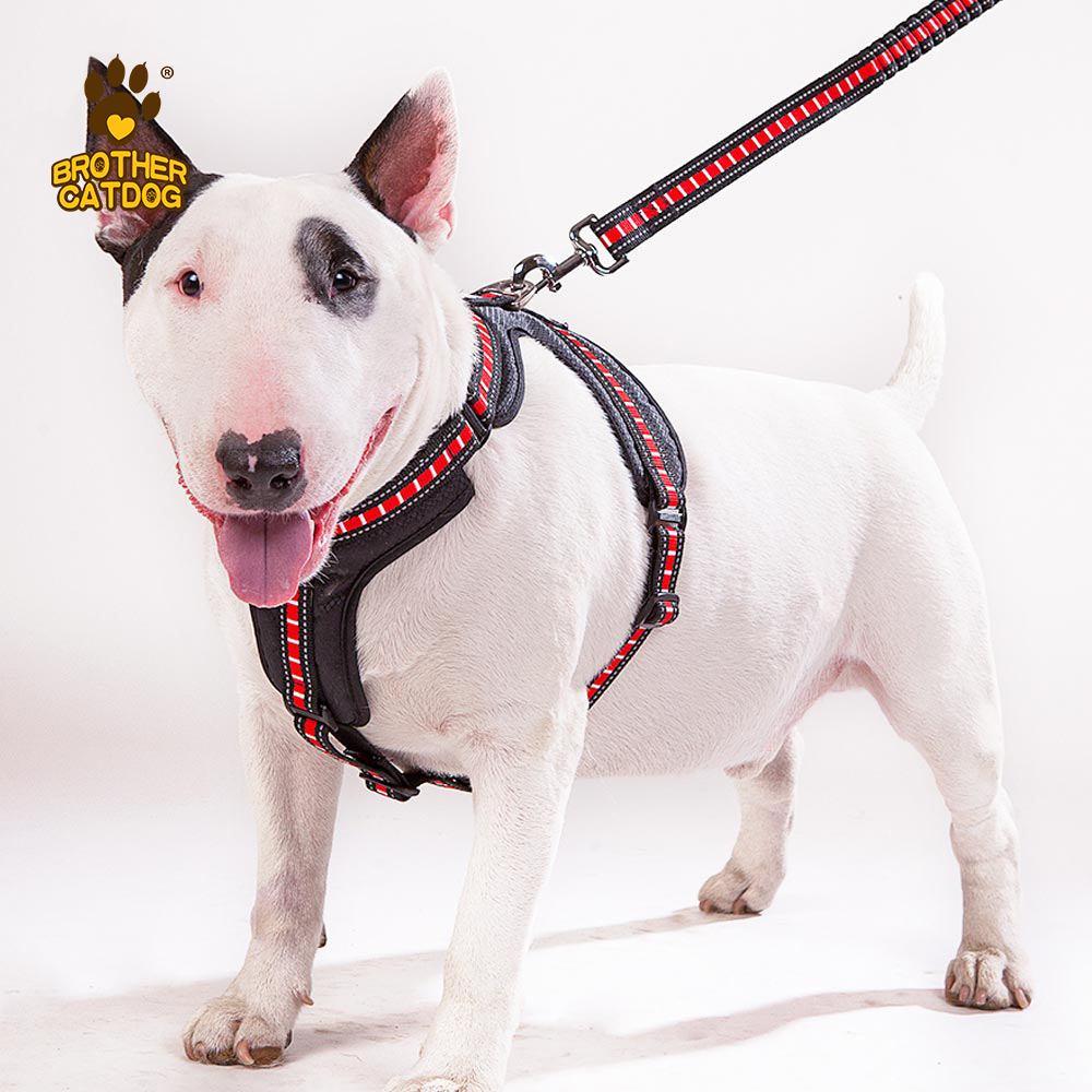 Manufacturing Dog Supplies / Wholesale Pet Supply /Global Horse & Dog Products Supply Chain / Made in Trianglewin