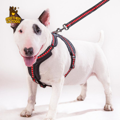 Manufacturing Dog Supplies / Wholesale Pet Supply /Global Horse & Dog Products Supply Chain / Made in Trianglewin