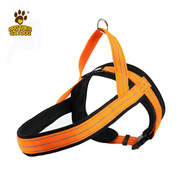 Dog Harness & Leashes & Collars / Quality Puppy and Dog Harnesses