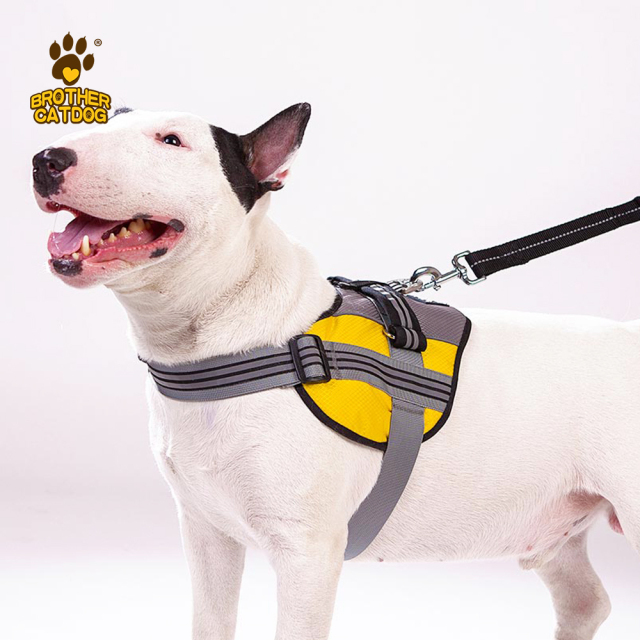 Dog Harness Custom Design / Dog accessories Pet training supplies / Manufacturer & Factory